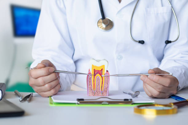Best Pediatric Emergency Dentist in Royal Palm Estates, FL